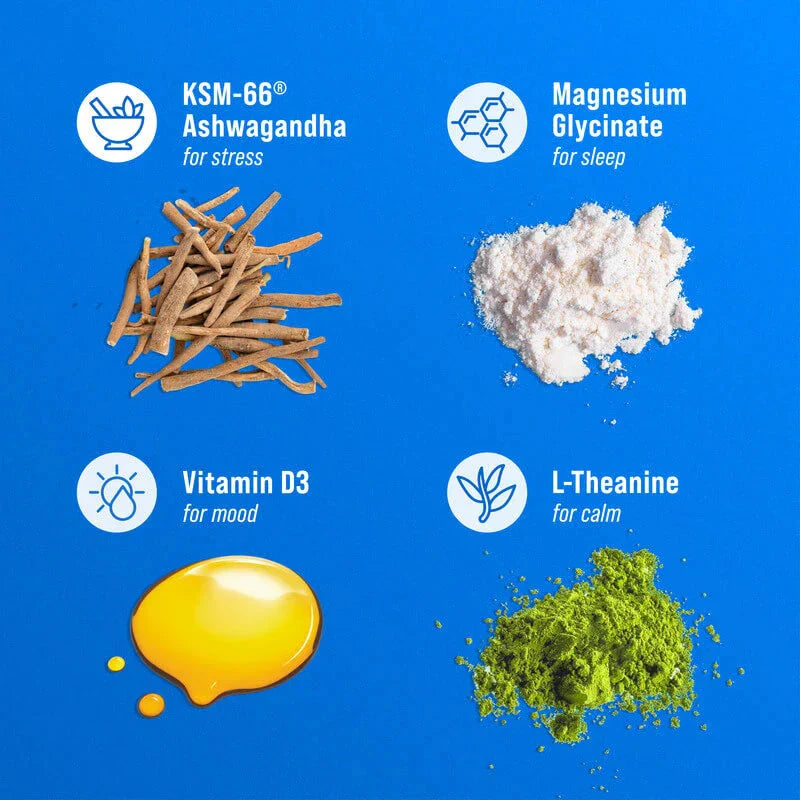 Vier Nahrungsergänzungs-Inhaltsstoffe (Ashwagandha-Wurzel, Magnesiumglycinat-Pulver, Vitamin-D3-Flüssigkeit, L-Theanin-Pulver) auf blauem Hintergrund angeordnet