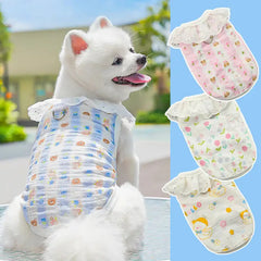 atmungsaktive haustierkleidung - weißer Pomeranian in blauer Bären-Haustierweste, 3 süße Haustier-Shirt-Stile ausgestellt