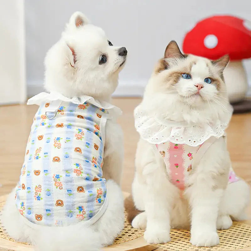 atmungsaktive haustierkleidung - kleiner Hund und Katze mit Spitzenkragen-Muster-Haustiertanktops drinnen
