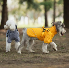 Dog Raincoat - Two small dogs wearing yellow and gray styles walking on a wooded dirt path