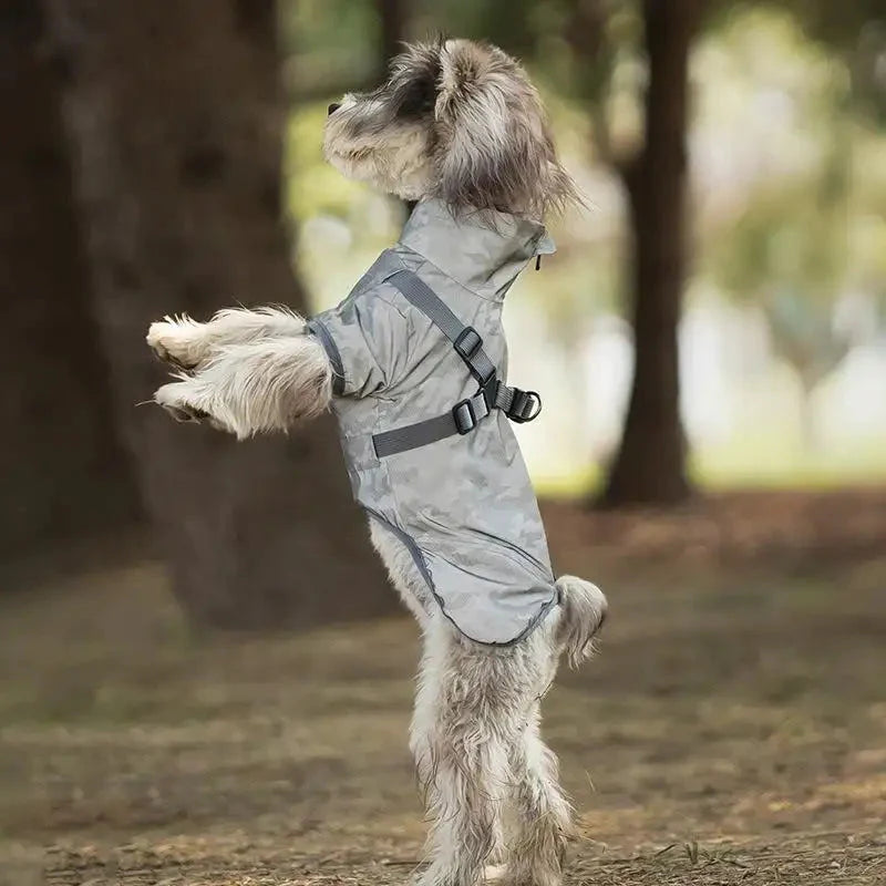 Dog Raincoat - Light gray camo style worn on a small terrier mix standing on its hind legs in a wooded area