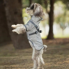 Dog Raincoat - Light gray camo style worn on a small terrier mix standing on its hind legs in a wooded area