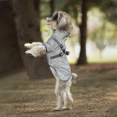 Dog Raincoat - A small shaggy dog stands on its hind legs outdoors, wearing a light gray camouflage dog jacket with adjustable straps.