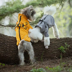 Dog Raincoat - Two small dogs stand against a fallen log in a wooded area, one wearing a yellow dog jacket and the other a gray one.