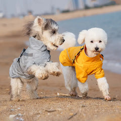 Dog Raincoat - Two small dogs move on a sandy beach, one in a light gray camouflage dog jacket and the other in a yellow dog jacket.