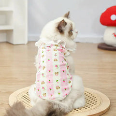 atmungsaktive haustierkleidung - Rückansicht einer Ragdoll-Katze in rosa blumiger Bären-Haustierweste mit Spitzenbesatz und D-Ring