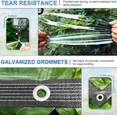 Clear Waterproof Tarp for Rain & Wind Protection