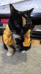 Funny Cat Muscle Arms Costume: 3D Printed Pet Accessory
