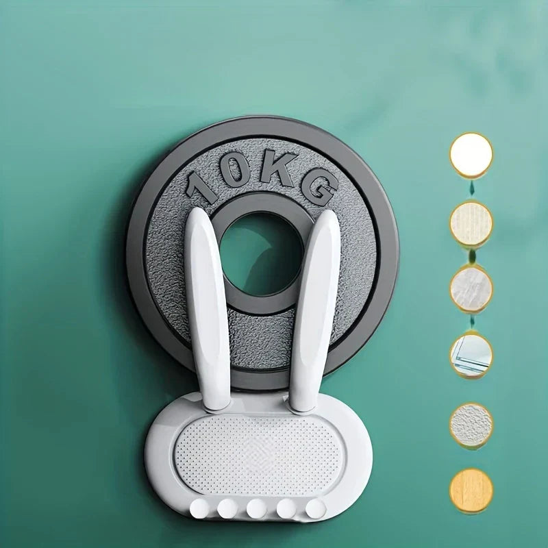 Utility Hooks - Gray 10KG weight plate propped above the rabbit organizer, plus a vertical row of circular material swatches on a teal background
