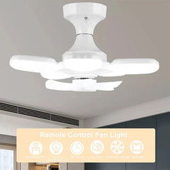 Apple Design Desk Lamp With Fan Combo Light