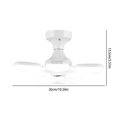 Apple Design Desk Lamp With Fan Combo Light