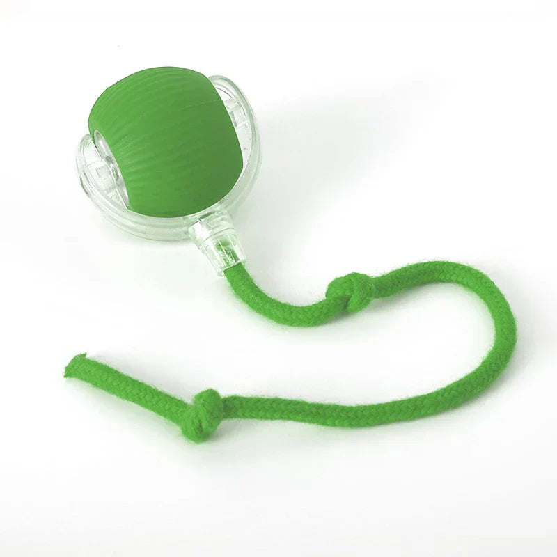 Automatic Moving Kitten Teaser Toy Vehicle - Green rolling cat toy with a clear outer shell and attached green knotted rope on a white background
