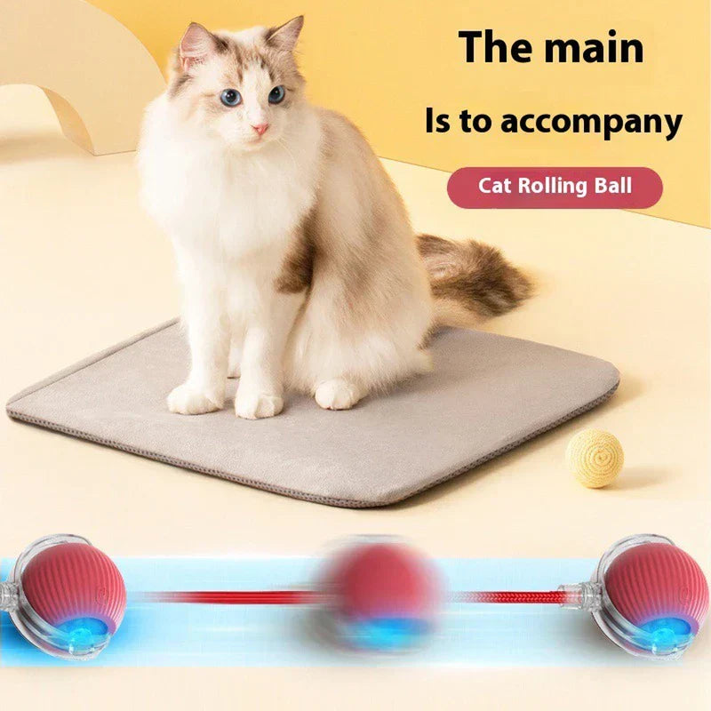 Automatic Moving Kitten Teaser Toy Vehicle - ragdoll cat sitting on gray mat with red rolling cat toy and motion blur demonstration