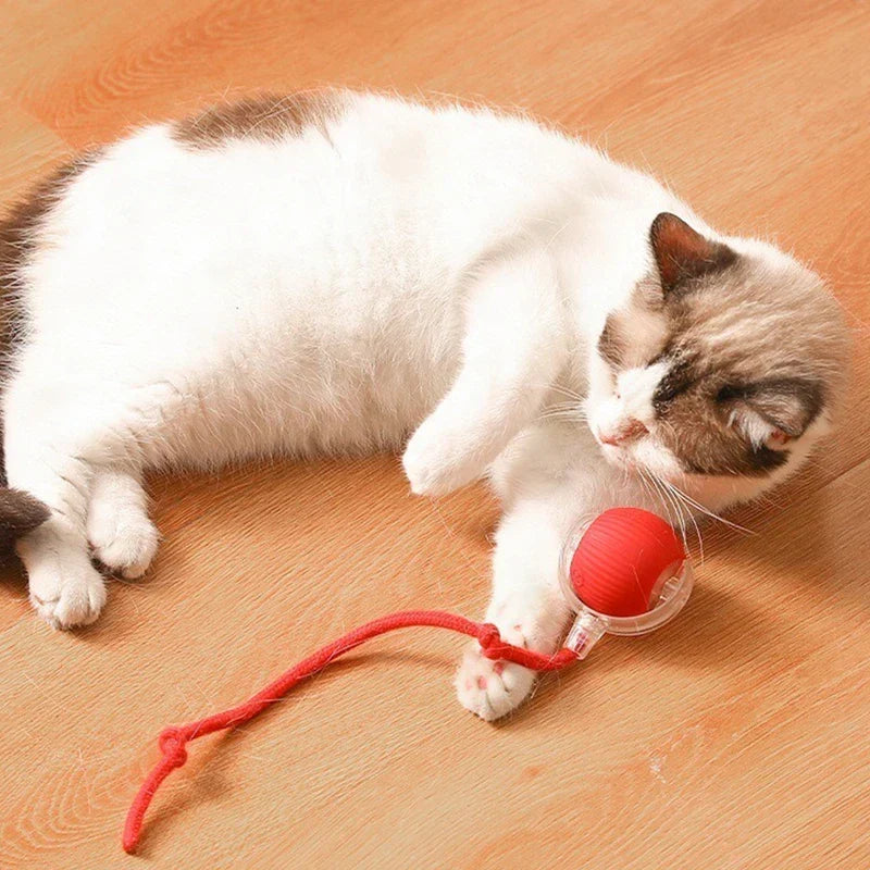 Automatisches bewegliches Kätzchen-Spielzeugfahrzeug - Weiß-braune Katze liegt auf Holzboden und spielt mit einem roten Rollspielzeug mit befestigtem rotem Seil