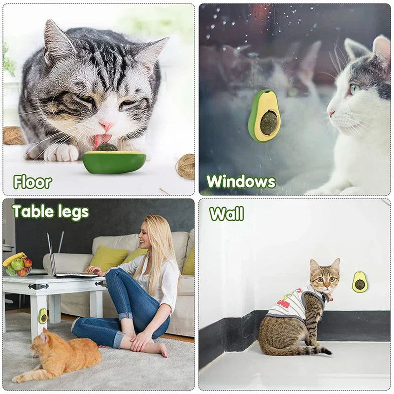 Avocado Catnip Ball Toy Wall Mount