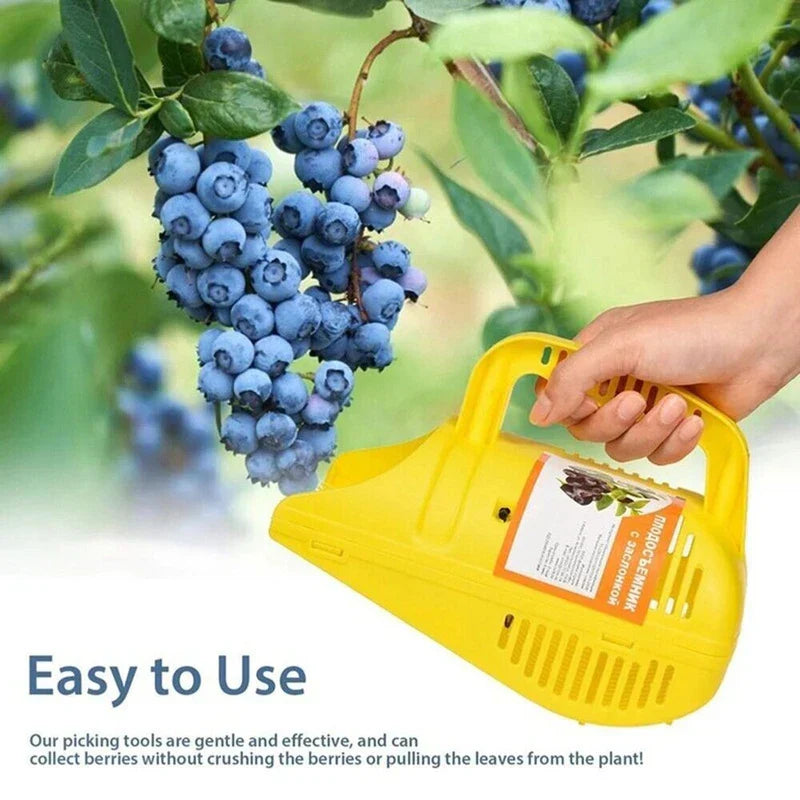 Blueberry Picker Rake Harvester Tool