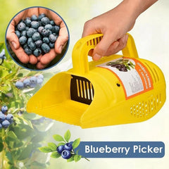 Blueberry Picker Rake Harvester Tool