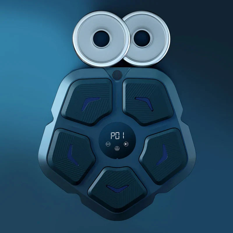 Boxing Punching Target Pad Q1 (Kraft Box)