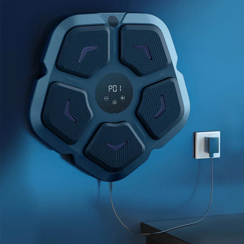 Boxing Punching Target Pad Q1 (Kraft Box)