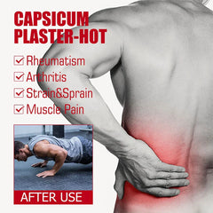 Capsicum Heat Patch Pain Relief Plaster