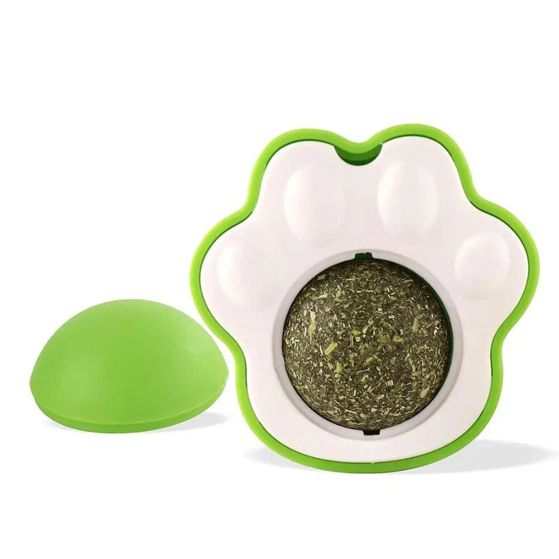 Catnip Ball Wall Toy - paw-shaped wall mount toy with green lid and compressed catnip ball, white background