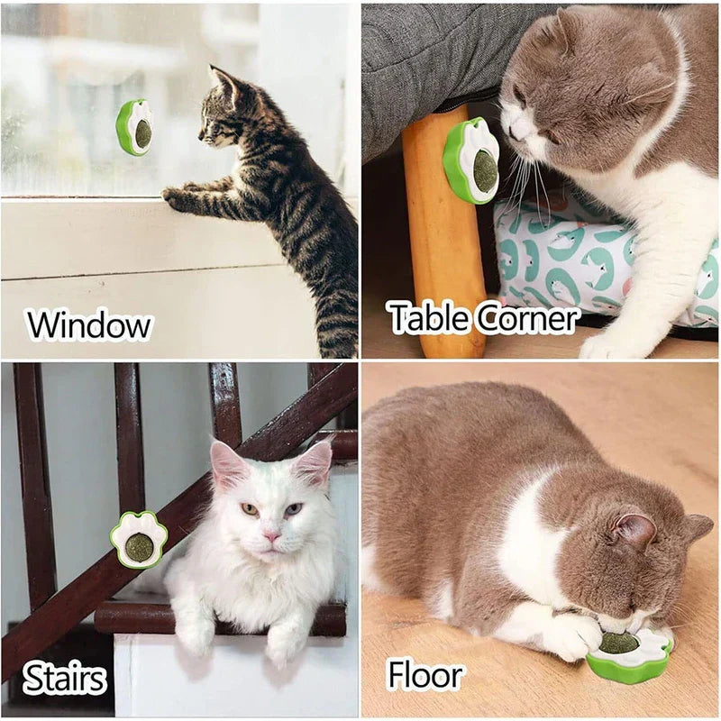 Cat Claw Catnip Ball Toy Wall Mount