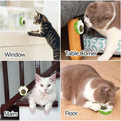Cat Claw Catnip Ball Toy Wall Mount