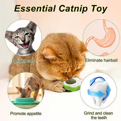 katzenkratzball mit katzenminze wandspielzeug - Katze leckt pfotenförmiges Katzenminzspielzeug, umgeben von vier kreisförmigen Grafiken, die Freude, Haarballen-Entfernung, Appetitförderung und Zahnreinigung veranschaulichen