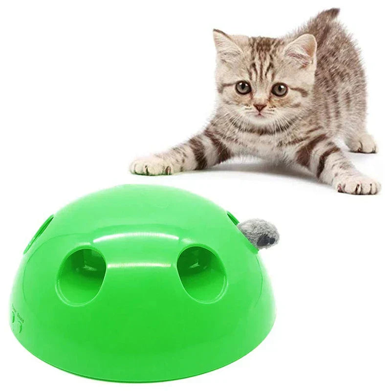 Cat Toy Interactive Play Fun (Specify Type)
