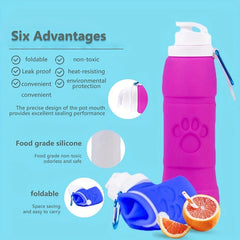 Collapsible Silicone Water Bottle Leakproof Travel