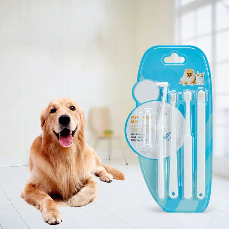 cepillo de dientes plegable - Blíster azul de herramientas de cuidado oral junto a un golden retriever sobre piso de madera clara