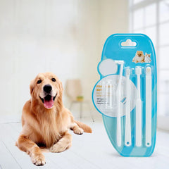 Combination Travel Folding Toothbrush Set