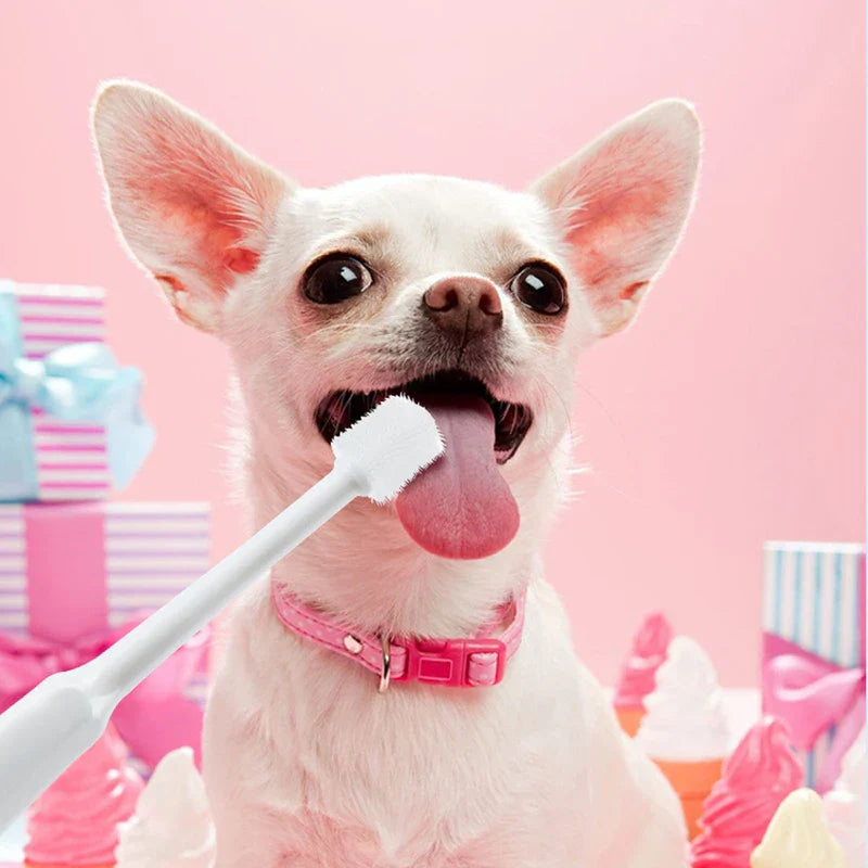 Combination Travel Folding Toothbrush Set