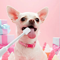 Combination Travel Folding Toothbrush Set