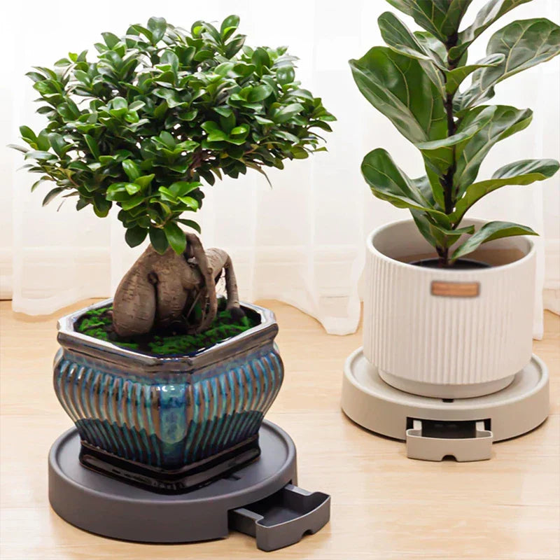 Serving Platter - Two potted plants resting on dark gray and light beige round plant saucers with pull-out water drawers, on a light wood floor