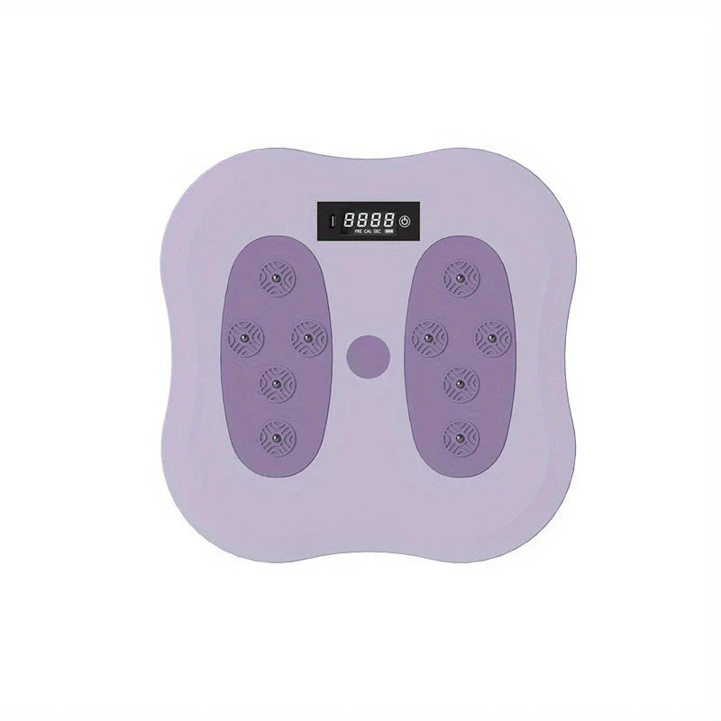 Digital Counting Waist Twisting Disc Board
