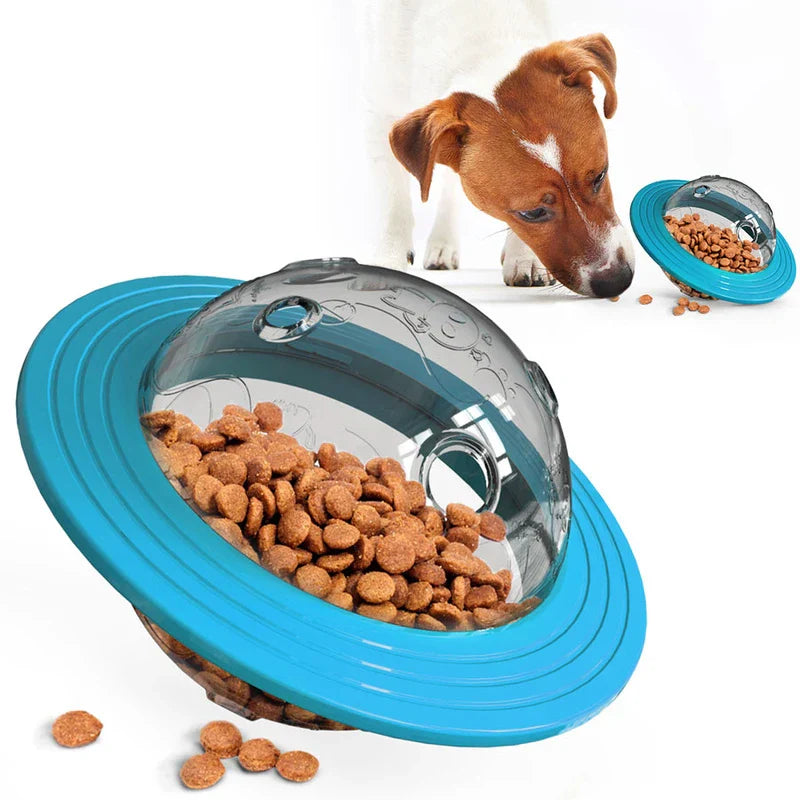 dog chew toy ball in a paw