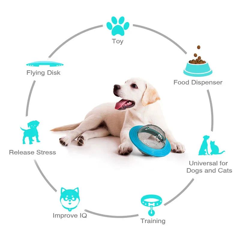 Dog Planet Themed Pet Chew Toy Ball