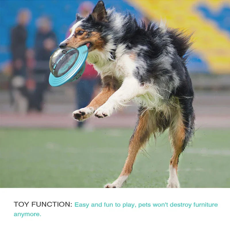 Dog Planet Themed Pet Chew Toy Ball