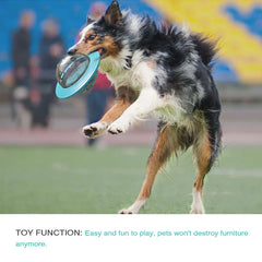 Dog Planet Themed Pet Chew Toy Ball