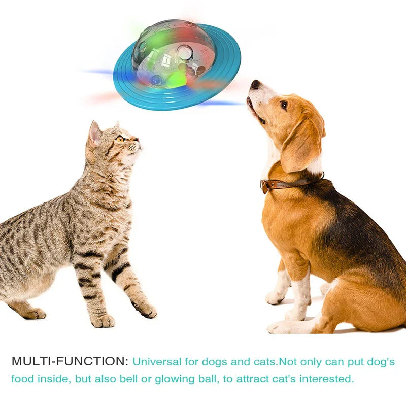 Tabby cat and beagle look up at a glowing blue-rimmed dog chew ball against a plain white background