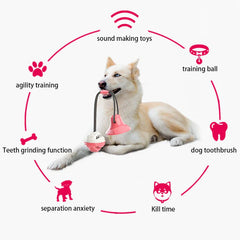 Dog Toy Chew Squeaky Interactive Puzzle Ball