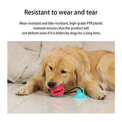 Dog Toy Chew Squeaky Interactive Puzzle Ball