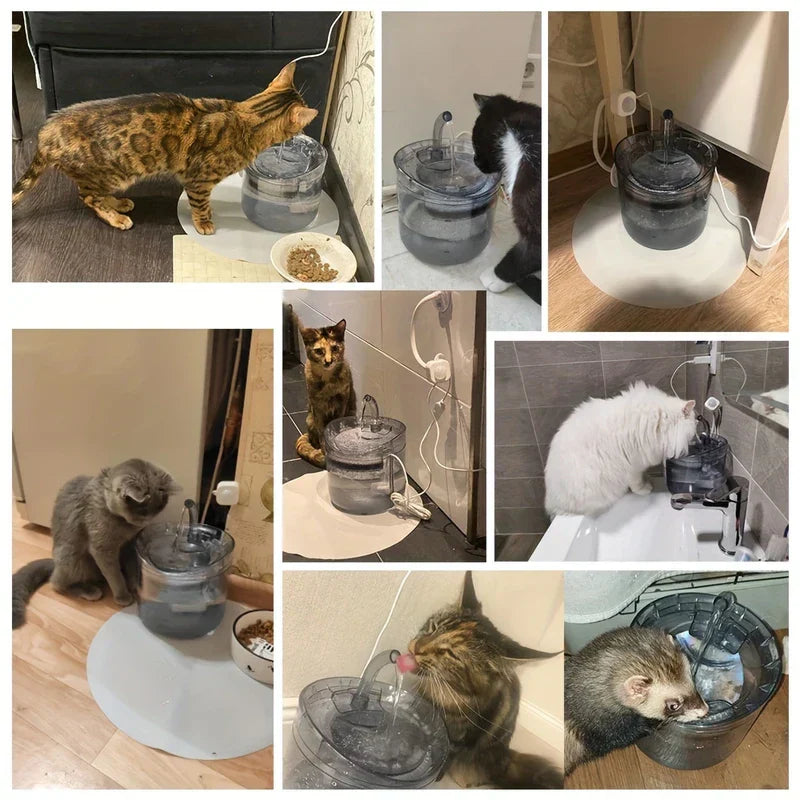 Electric Pet Water Fountain With Filter