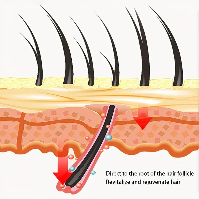 Hair Brush - Diagram of a cross-section of skin and hair follicle, with text and red downward arrows