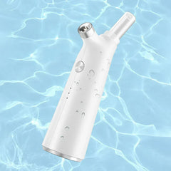 Facial Beauty Nano Mist Sprayer Hydrating Steamer