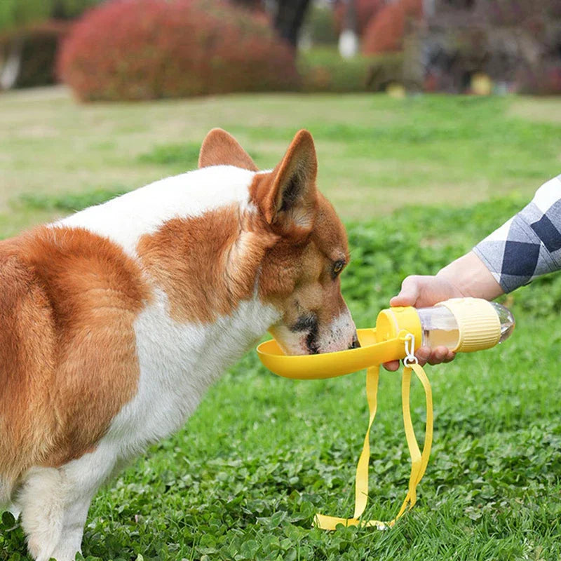 Foldable Collapsible Pet Travel Water Cup Bowl