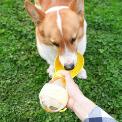 Gravity Feeder Automatic Pet Food Dispenser