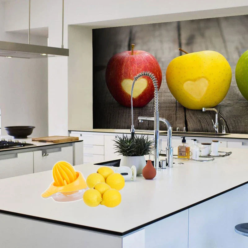 Handheld Fruit Juice Extractor Reamer Tool