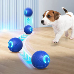 Interactive Gravity Bouncing Pet Ball Toy